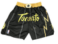 Toronto Raptors Shorts