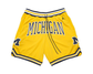 University of Michigan Shorts