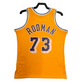 Throwback Lakers Dennis Rodman 73 Jersey